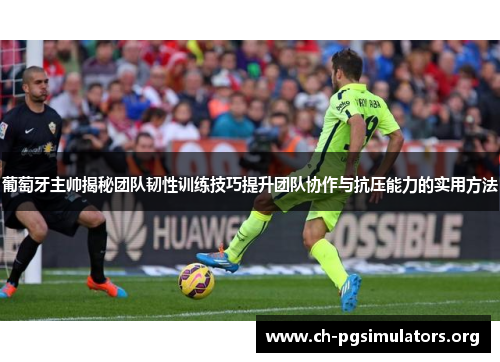 葡萄牙主帅揭秘团队韧性训练技巧提升团队协作与抗压能力的实用方法